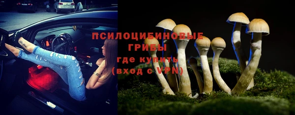 не бодяженный Алзамай