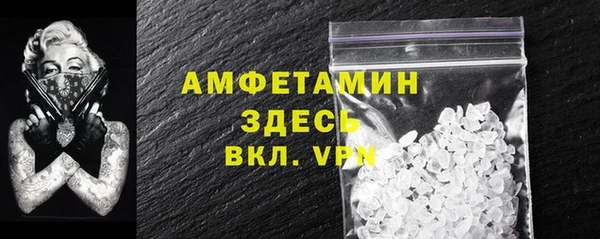 гашик Алексеевка