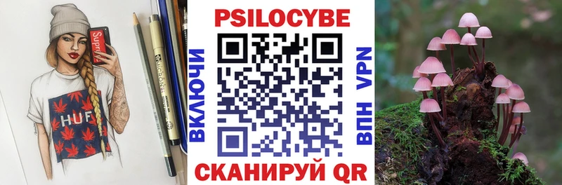 Галлюциногенные грибы мицелий  где продают наркотики  Десногорск 